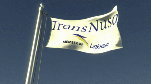 Transnusa New Logo Flag GIF - Transnusa New Logo Flag Flag Fictional GIFs