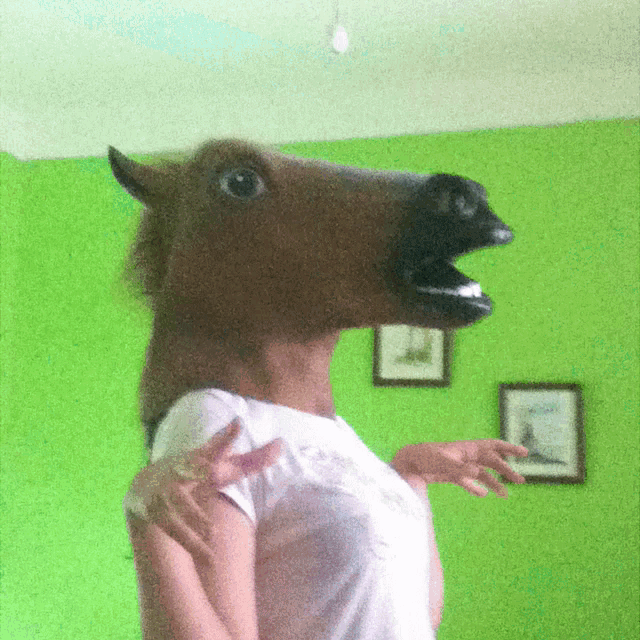 a woman is wearing a horse head mask