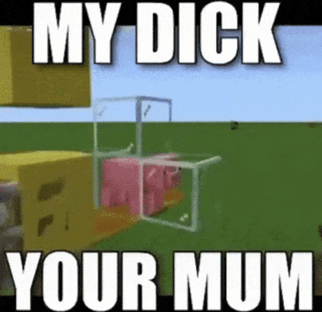 a screenshot of a video game with the words `` my dick your mum ''