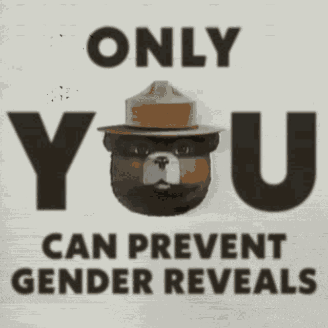 Only You Can Prevent Gender Reveals Forest Fire GIF - Only You Can Prevent Gender Reveals Gender Reveal Forest Fire GIFs