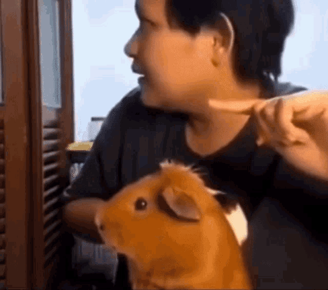 Jinnisolodebut Wtf GIF