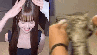 a woman is getting her hair done by a man and a cat is looking at her .