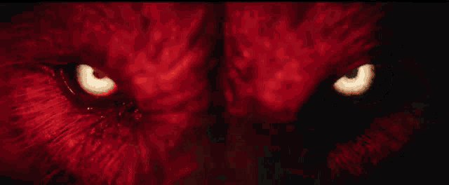 a close up of a person 's eyes that are glowing brightly