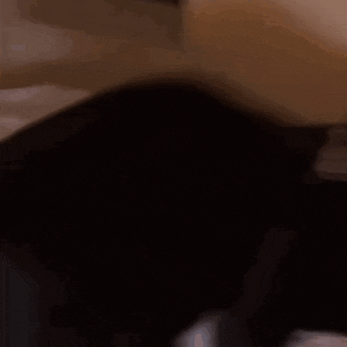 a black cat with a white collar is looking at the camera
