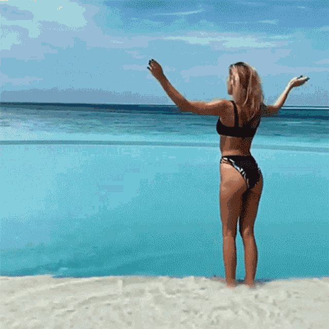Dive Jessica Serfaty GIF - Dive Jessica Serfaty Swim GIFs