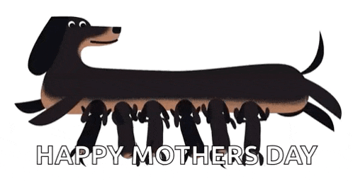 a dachshund with a bunch of puppies and the words happy mothers day on the bottom