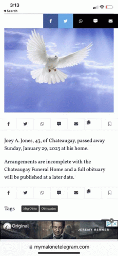 a screenshot of a website with a picture of a white dove