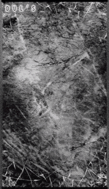 a black and white photo of a marble texture with the letters duls on the bottom