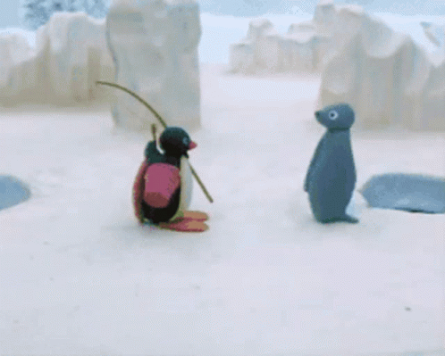 Pingu Pingu Seal GIF - Pingu Pingu Seal Seal GIFs