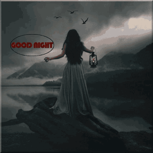 a picture of a woman holding a lantern with the words " good night " on the bottom