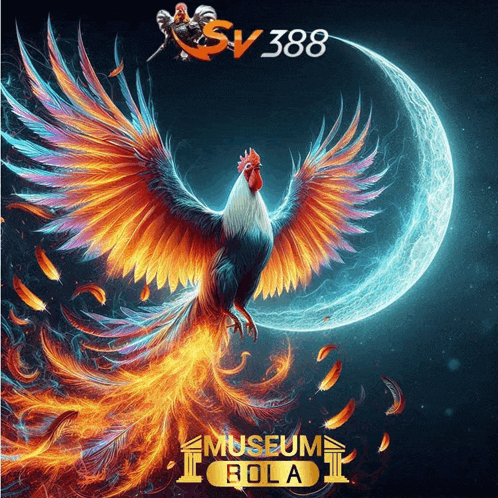 a poster for museum bola with a colorful rooster