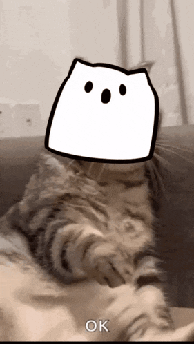 a cat is sitting on a couch with a white box on its head and the word ok below it