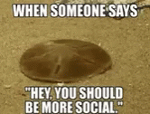 When Someone Says Be More Social GIF - When Someone Says Be More Social Social Anxiety GIFs