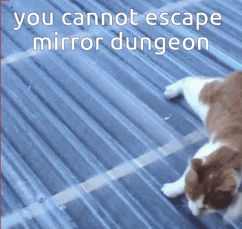 a picture of a cat with the words " you cannot escape mirror dungeon " below it