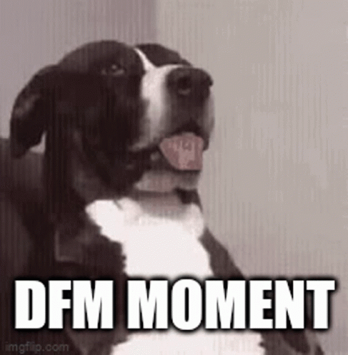 Dfm Moment GIF - Dfm Moment GIFs