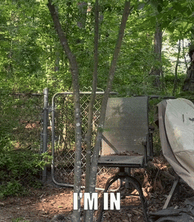 the word i 'm in is written on a chair in the woods