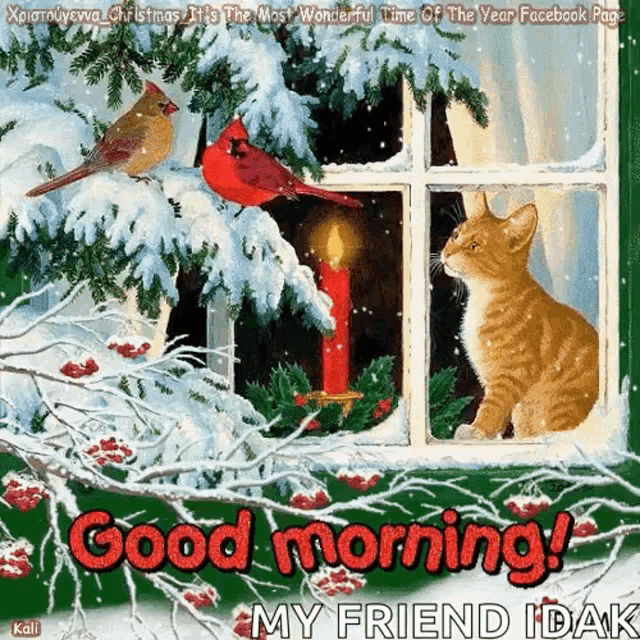 Good Morning Cardinal GIF - Good Morning Cardinal Snowing GIFs