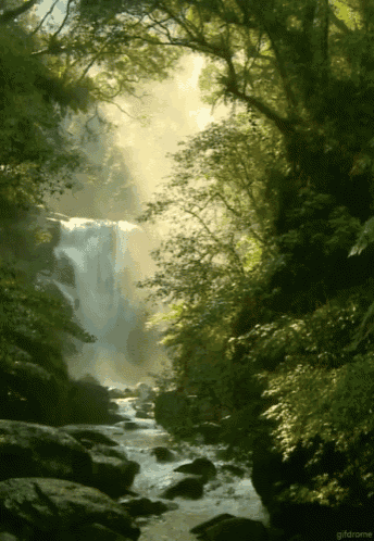 a waterfall is surrounded by trees and rocks in a gif