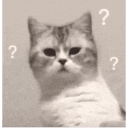 a cat is looking at the camera with a question mark around its head .