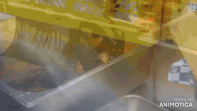 a stainless steel container with the words made in animatica on the bottom