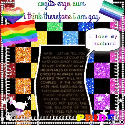 a picture with a rainbow flag and a speech bubble that says i love my husband