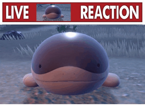 a picture of a whale with the words live reaction on it