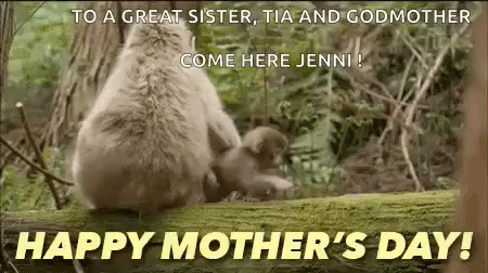 Monkey Happy Mothers Day GIF - Monkey Happy Mothers Day Mothers Day GIFs