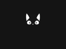 Cat Dark GIF - Cat Dark Shadow GIFs