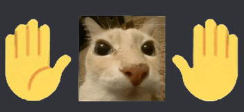 a picture of a cat is surrounded by two hands