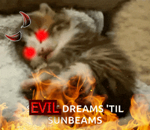 a picture of a cat with red eyes and horns and the words evil dreams til sunbeams