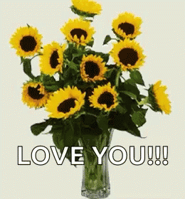 Have A Nice Day Love You GIF - Have A Nice Day Love You Sunflower GIFs