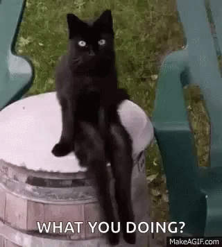 Black Cat Swinging Leg GIF - Black Cat Swinging Leg What You Doing GIFs