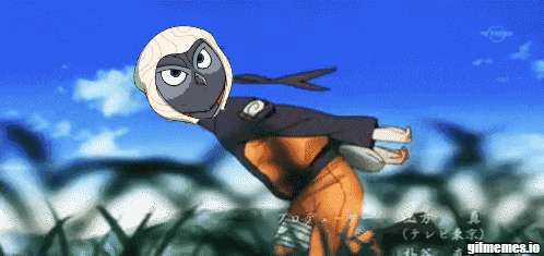 a gif of a person with an owl on their head and the words gifmemes.io at the bottom