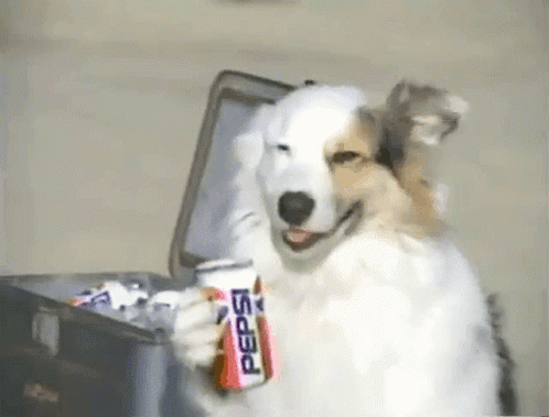 Dog Drinking Pepsi Pepsie GIF - Dog Drinking Pepsi Pepsie Cola GIFs