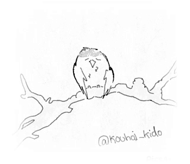 a black and white drawing of a bird on a tree branch with the name @kouhai-kido below it