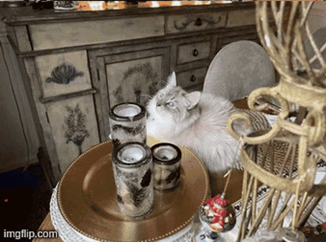 a cat sits on a table next to candles and a plate