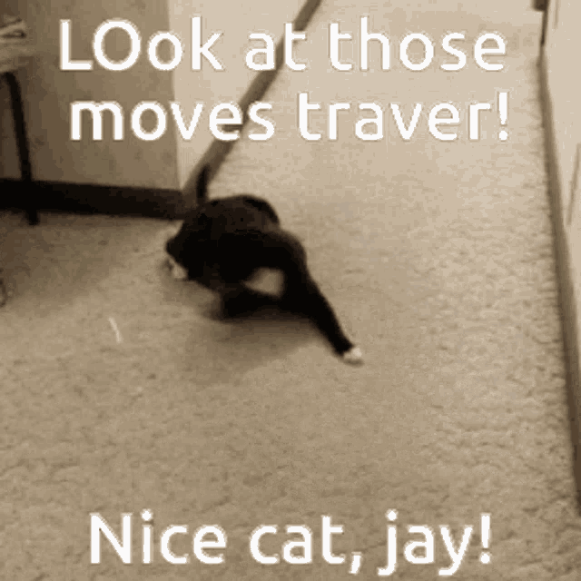 Catsoda Jay GIF - Catsoda Jay Traveler GIFs