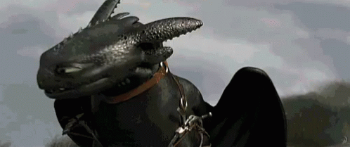 Wasn'T Me - How To Train Your Dragon GIF - How To Train Your Dragon Nightfury Hiccup GIFs