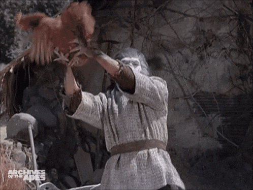 a monkey is holding a chicken in a scene from the archives of the apes