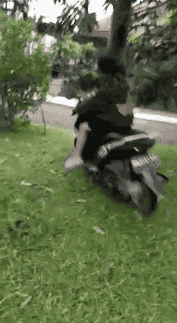 a person is riding a scooter in the grass .