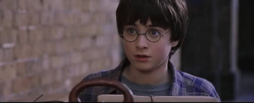 What The Harry Potter GIF - What The Harry Potter Daniell Radcliffe GIFs
