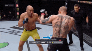two men are fighting in a boxing ring with the ufc logo visible