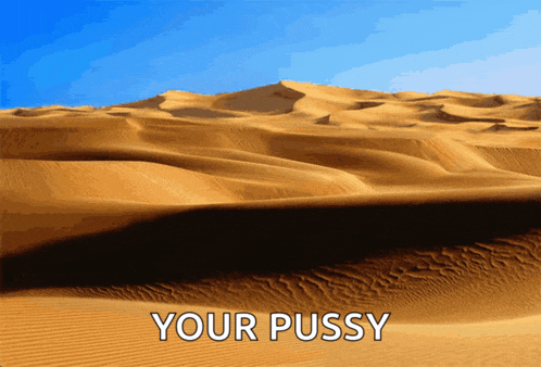 a picture of a desert with the words " your pussy " on the bottom