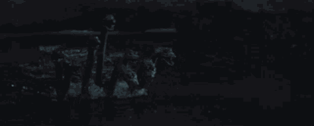a group of three headed monsters are swimming in the water at night .