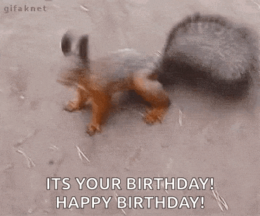 a squirrel is crawling on the ground with the words `` its your birthday ! happy birthday ! ''