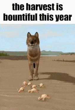 Cs Cenozoic Survival GIF - Cs Cenozoic Survival The Harvest Is Bountiful This Year GIFs