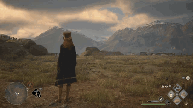 a woman in a top hat is standing in a field with mountains in the background