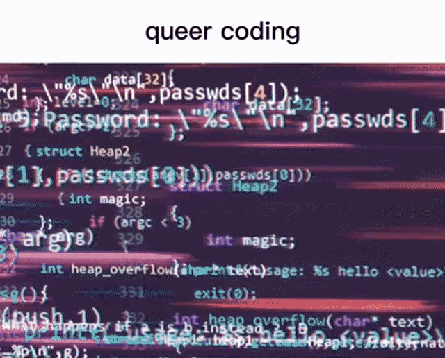 a screenshot of a computer screen with the words queer coding