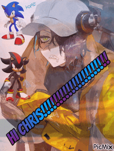 a drawing of sonic the hedgehog and shadow the hedgehog
