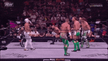 a group of wrestlers are standing in a ring with the words all elite written on the bottom